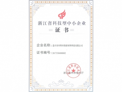 科技型中小企业